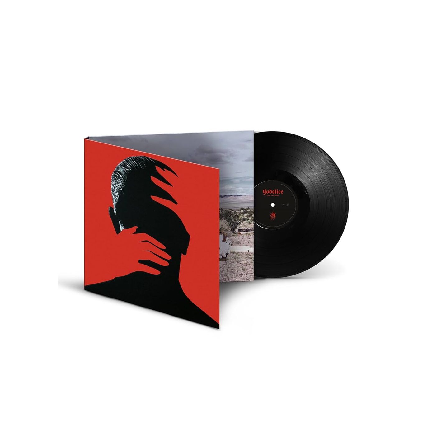Vinyle